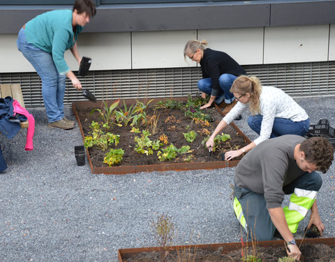 Plantactie op Campus Dunant