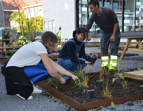 Plantactie op Campus Dunant