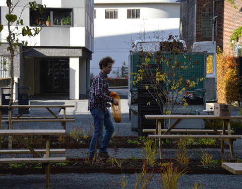 Plantactie op Campus Dunant