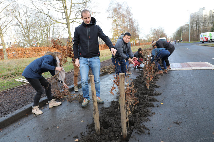 'Plant your Campus' op Campus Sterre