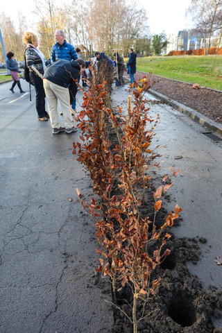 'Plant your Campus' op Campus Sterre