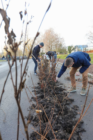 'Plant your Campus' op Campus Sterre
