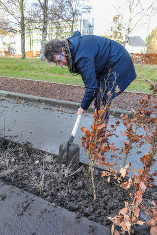 'Plant your Campus' op Campus Sterre