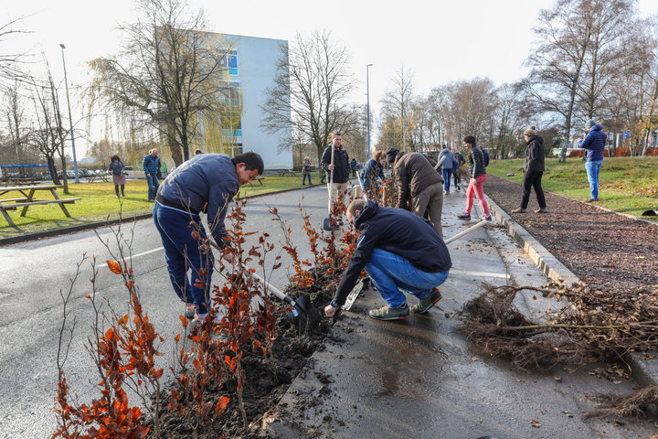 'Plant your Campus' op Campus Sterre