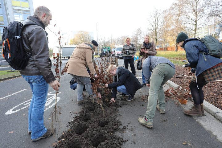'Plant your Campus' op Campus Sterre