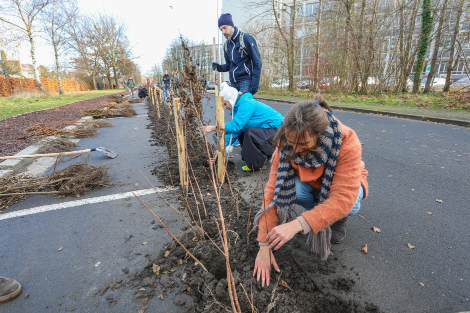 Transitie UGent