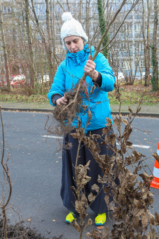 'Plant your Campus' op Campus Sterre