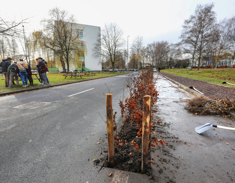 'Plant your Campus' op Campus Sterre