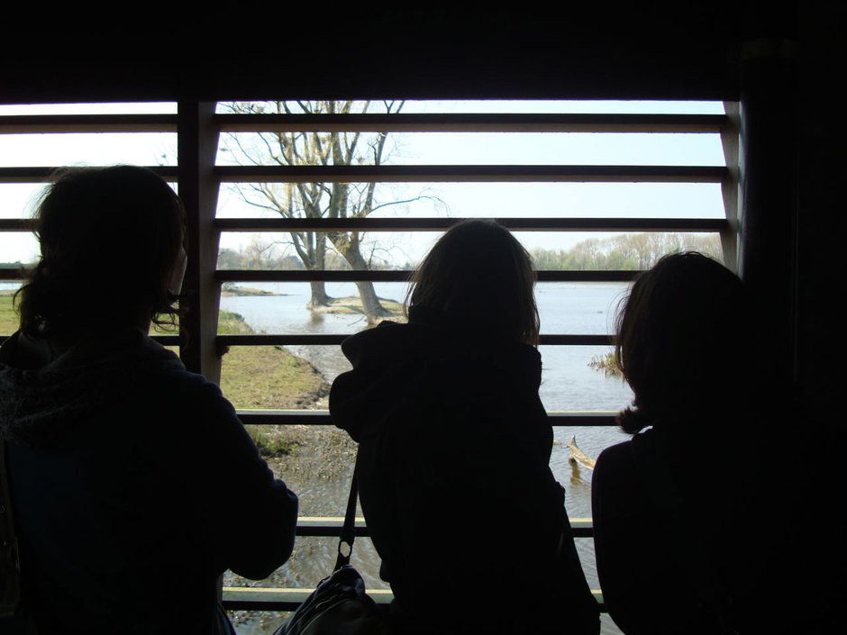 Transitie UGent
