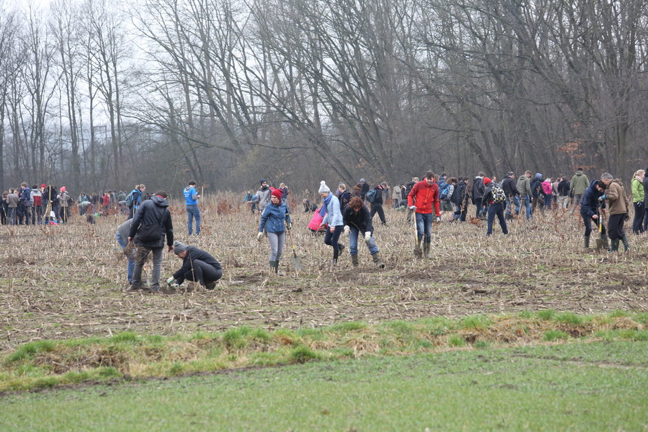 Transitie UGent