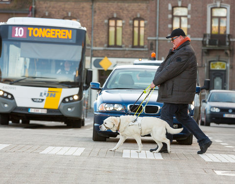 UGent en Belgisch Centrum voor Geleidehonden vzw organiseren fokprogramma voor blindengeleidehonden